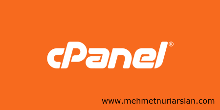cPanel'e Nasıl Bağlanılır? Alan Adı veya IP ile Barındırma Servisinize Bağlanın